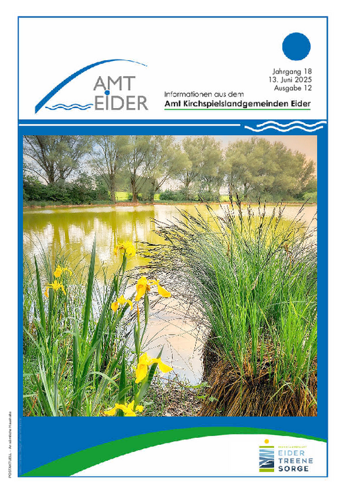 Jahrgang 18 - Ausgabe 12