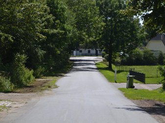 Straße mit Büschen und Bäumen am Rand