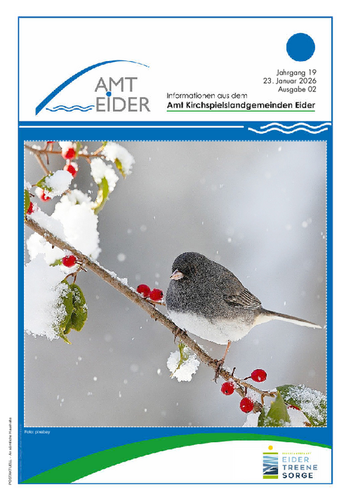 Jahrgang 19 - Ausgabe 2