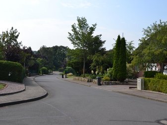 schöne bewachsene Straße in einer Wohngegend