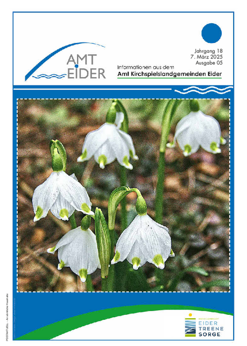 Jahrgang 18 - Ausgabe 5