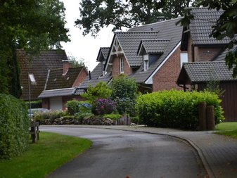 Haus mit hohen Büschen und Blumen davor