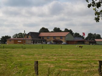 Schaffarm mit weidenden Schafen auf der Wiese