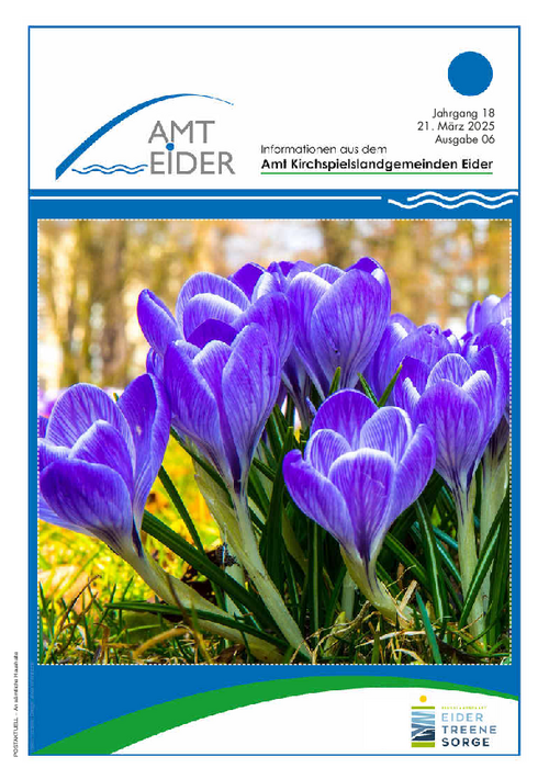 Jahrgang 18 - Ausgabe 6