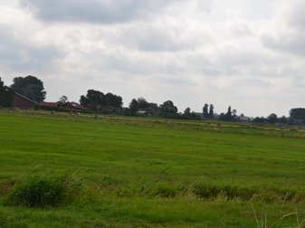 weitläufige Wiese mit Heuballen