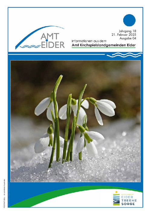 Jahrgang 18 - Ausgabe 4