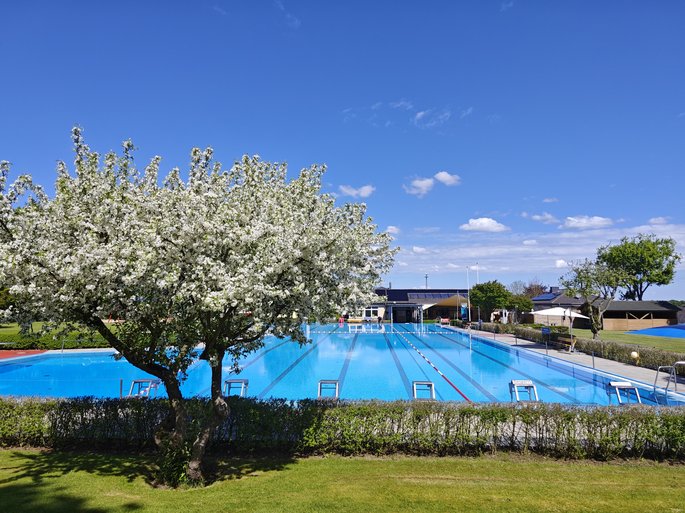 Bild im Frühling vom Becken