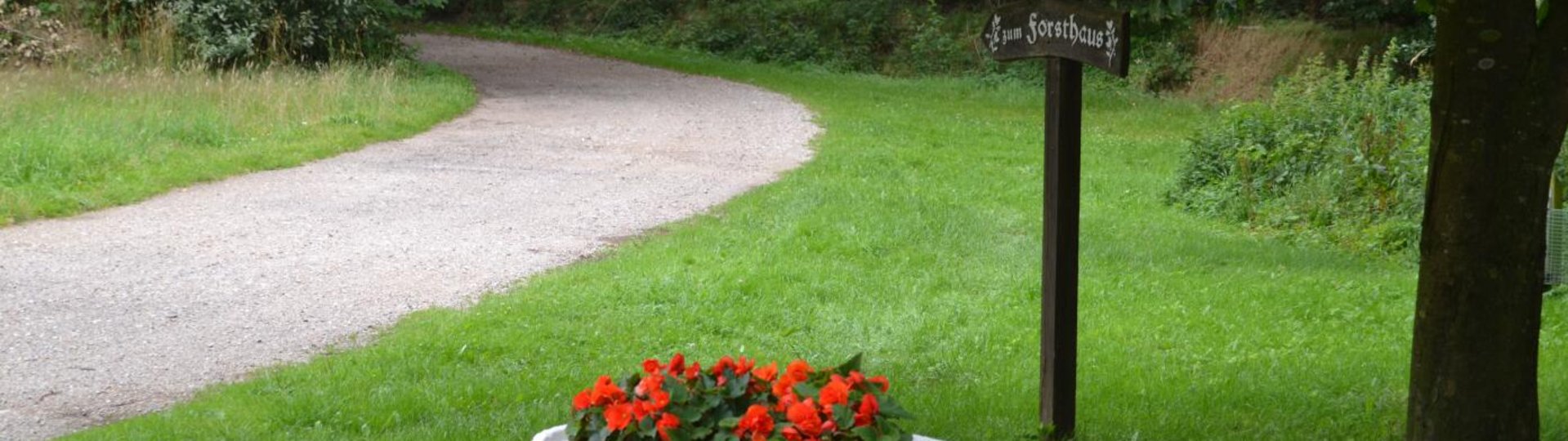 Weg zum Forsthaus
