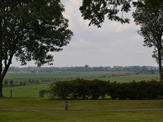 Ausblick zwischen 2 Bäumen auf den Acker